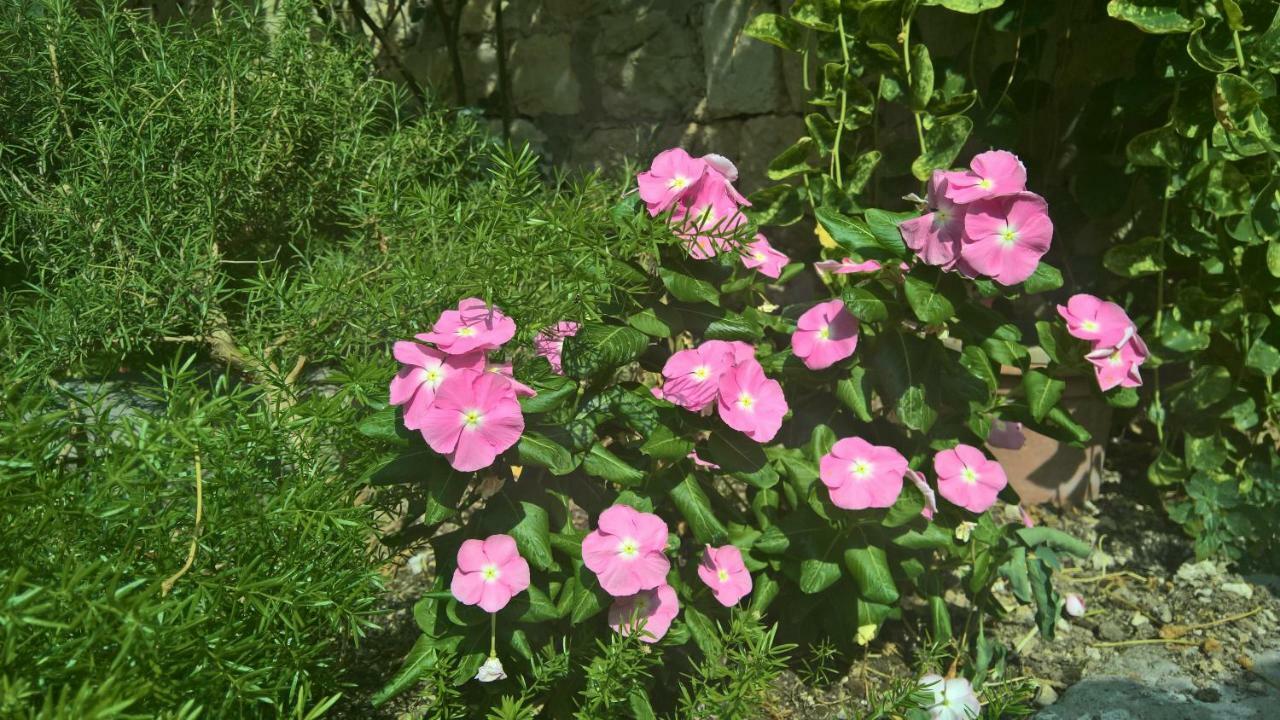 Nanna'S Little Paradise Χβαρ Εξωτερικό φωτογραφία
